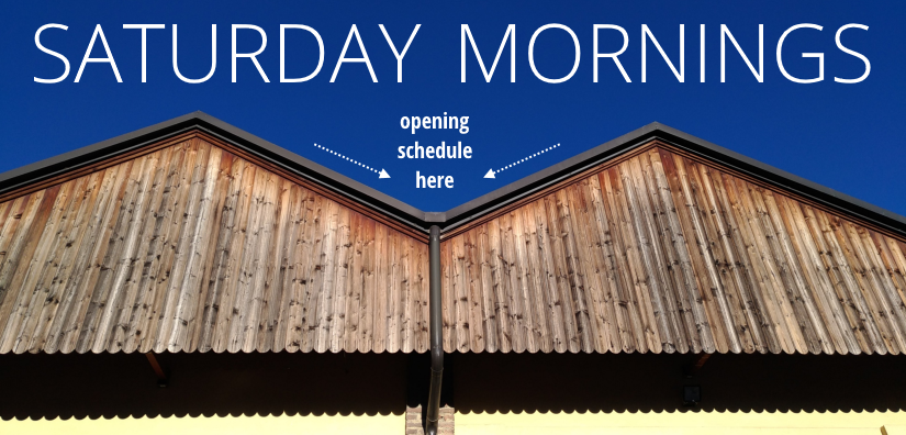 Saturday openings schedule